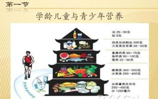小学生营养与健康