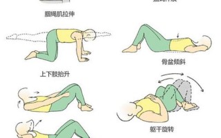 锻炼肌肉的更佳时间