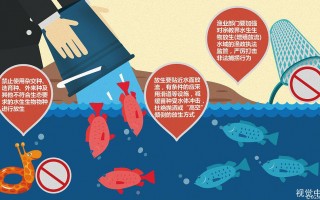 南极冰层下发现不明生物,它来自哪里?是如何生存的?