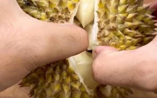 女子买149元榴莲被丈夫指责