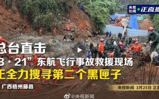 2022年广西空难原因