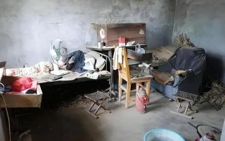 罗定疫情最新消息今天