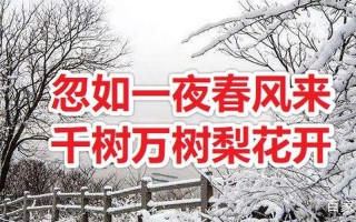 忽如一夜春风来的下一句