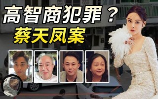 蔡天凤案件是怎么回事