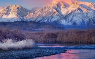 magnificent近义词(magnificent的用法)