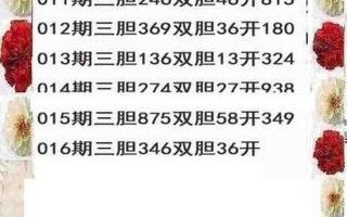 盖世独胆王每天一胆