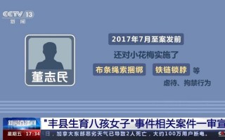 江苏丰县八孩女子事件始末