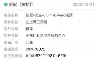 输入身份证号可以查接种记录吗