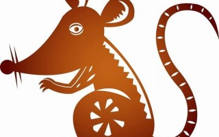 无独有偶打一个生肖