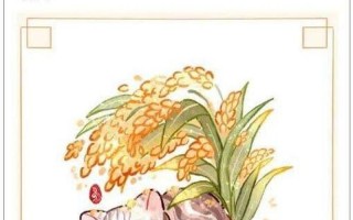 袁花花经常陪袁隆平听报告