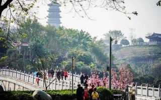 重庆园博园门票价格