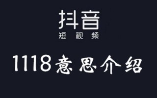 1118的寓意是什么意思