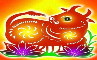 野外风光什么生肖打一生肖