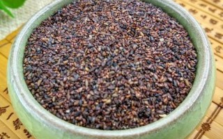 车前子的药用价值