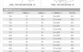 内衣尺码大小分类