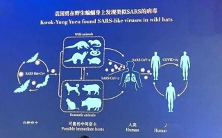 sars病毒是哪一年