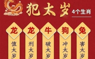 光芒万丈是什么生肖