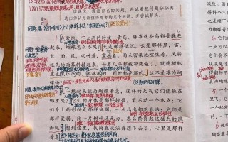 蝴蝶的家在哪里 答案 最准确