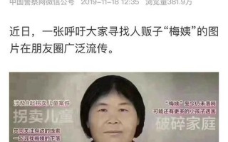 官方称梅姨湖南落网消息不实