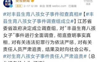 丰县生育八孩女子事件调查结果公布