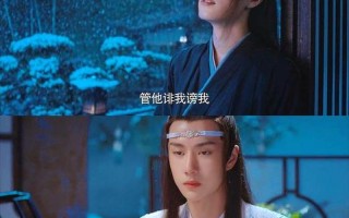 墨香铜臭回应陈情令