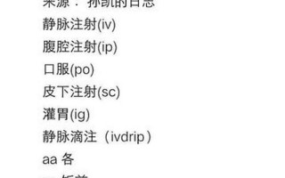 性用语sc是什么意思