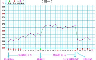 排卵期体温曲线图