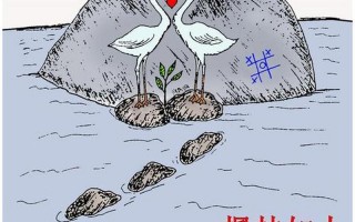 9944旺角彩二四六