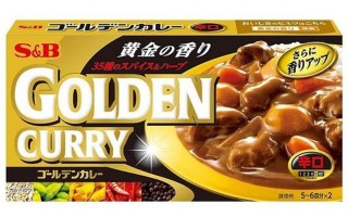 说日本是SB国对吗