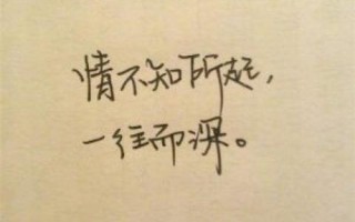 一往情深是什么意思