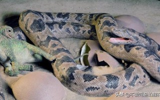 世界上最古老的蛇
