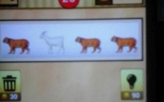 三只老虎一只羊猜成语