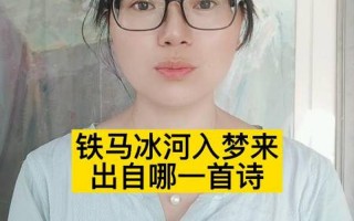 铁马冰河入梦来前一句