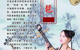 琵琶一词来源于什么