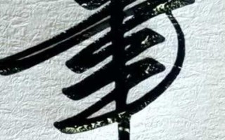 铿锵有力打一动物生肖