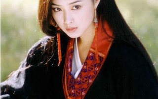 蒋欣演过的电视剧