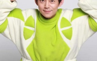 何炅个人资料及简介