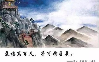 危楼高百尺的危楼是什么意思