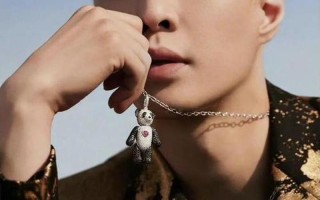 丁禹兮为什么被网暴