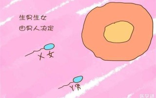 女生和男生怎么样才能怀上宝宝