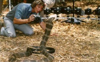 奥斯汀史蒂文斯现在怎么样(奥斯汀 史蒂文斯到底死没死啊??)