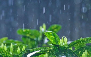 早晨下雨当日晴晚上下雨到天明