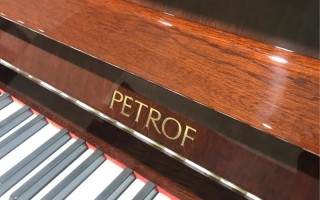 捷克钢琴商丢大陆订单