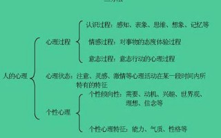 表达的方式有哪些