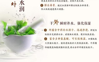 银杏叶极度滋养膏