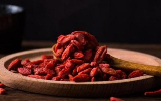 枸杞子的功效与作用及食用 *** 