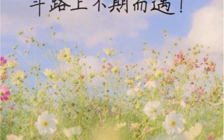 阳光正好的唯美句子