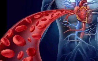 血管发出的求救信号