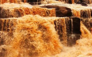 量如江海是什么生肖