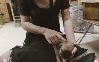 你能接受舍友在寝室养宠物吗
